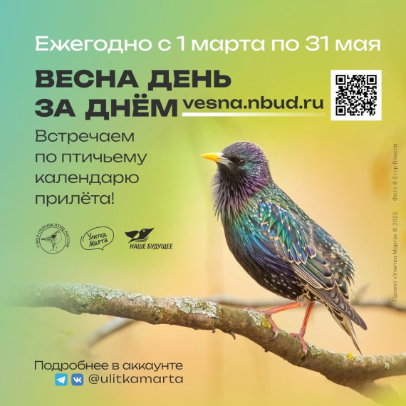 Календарь прилета.
